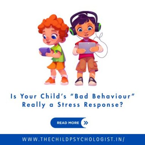 Is Your Child’s “Bad Behaviour” Really a Stress Response?
