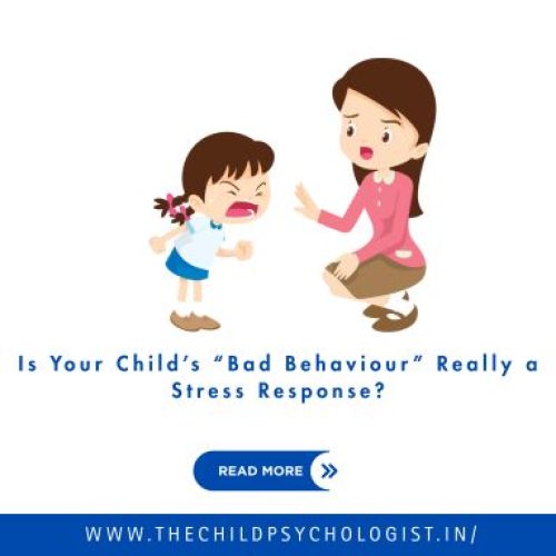Is Your Child’s “Bad Behaviour” Really a Stress Response?